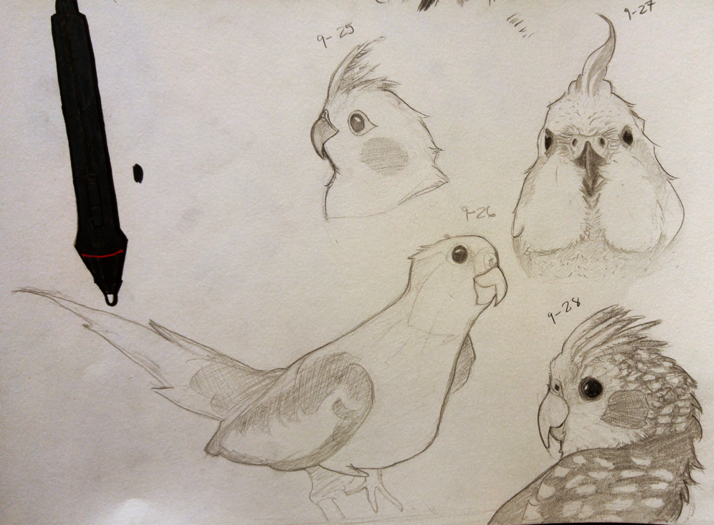 Cockatiels