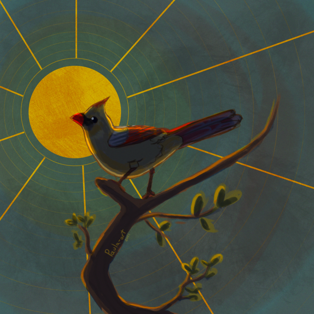 mockingbird sun